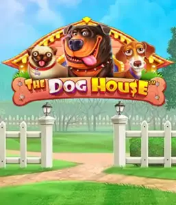 Опыт Pragmatic Play в приключении The Dog House, приносящий вам очаровательное переживание в мире игривых щенков. Откройте для себя функциях включая бесплатные вращения, идеальных для доставления радостных моментов. Идеально подходит для тех, кто любит легкую обстановку и возможностью выиграть крупно.